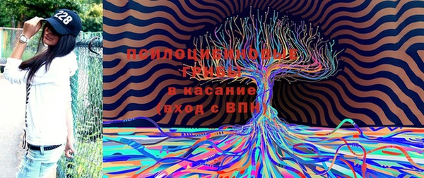 каннабис Абаза